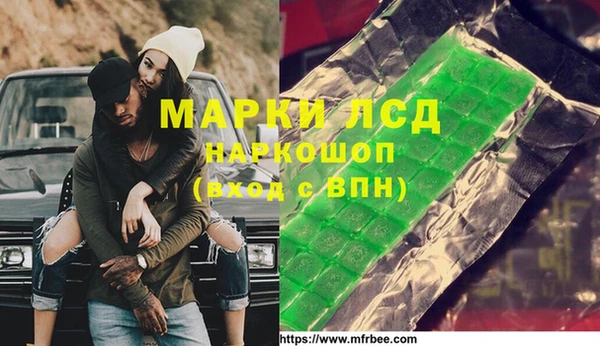 индика Алзамай