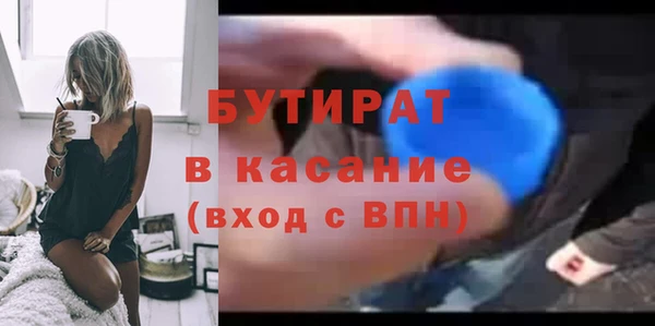 индика Алзамай