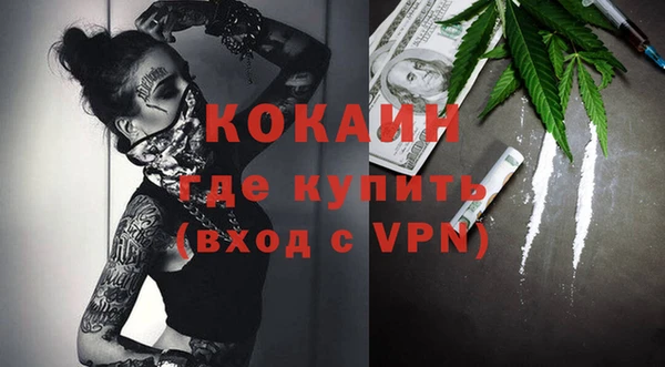 индика Алзамай