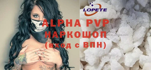 индика Алзамай