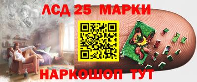 шишки Боровичи