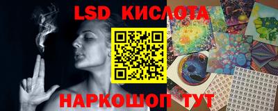 шишки Боровичи