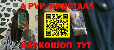 шишки Боровичи