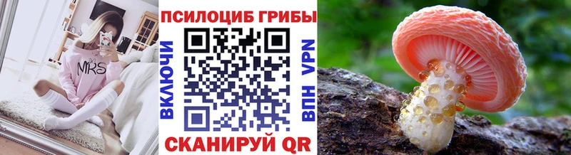 купить   Астрахань  Галлюциногенные грибы MAGIC MUSHROOMS 