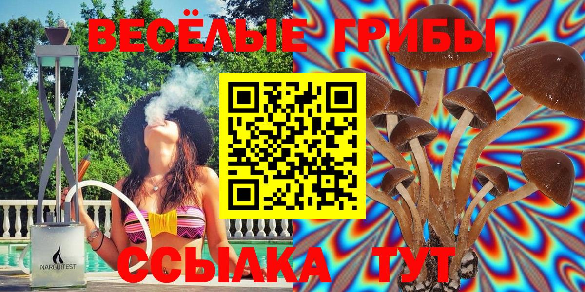 Галлюциногенные грибы Cubensis Астрахань