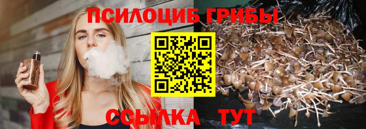 Псилоцибиновые грибы прущие грибы  Псилоцибиновые грибы прущие грибы  Вход с VPN  Астрахань 